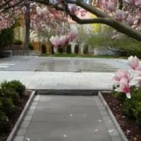 Century Landscaping Co ico