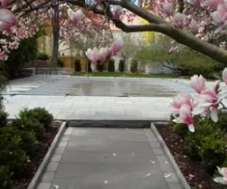 Century Landscaping Co