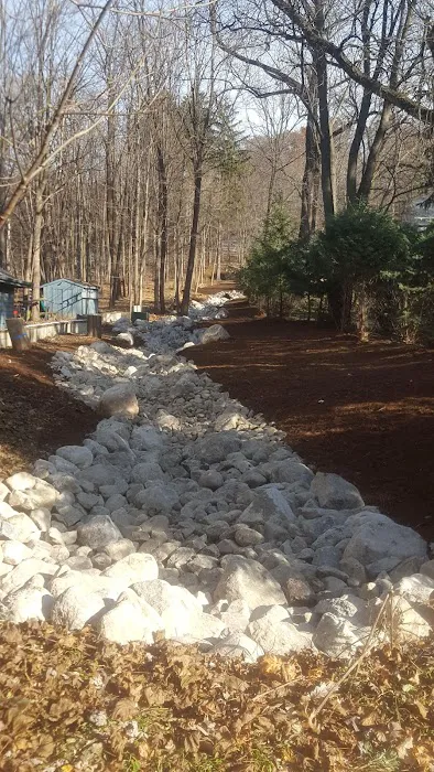 Century Landscaping Co Picture 3