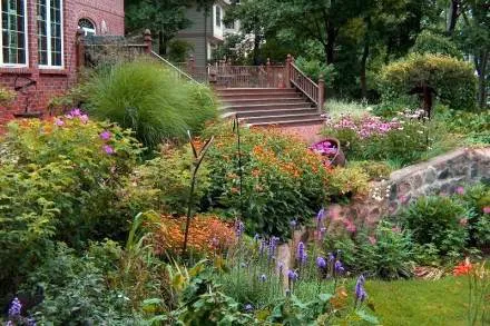 Century Landscaping Co Picture 5