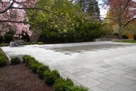 Century Landscaping Co Picture 4