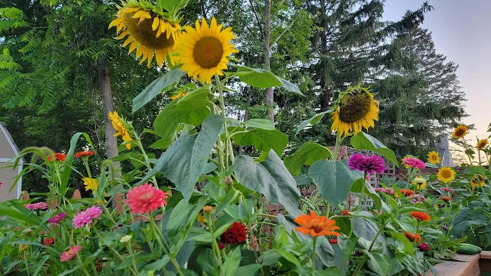 My Yard LLC Picture 5