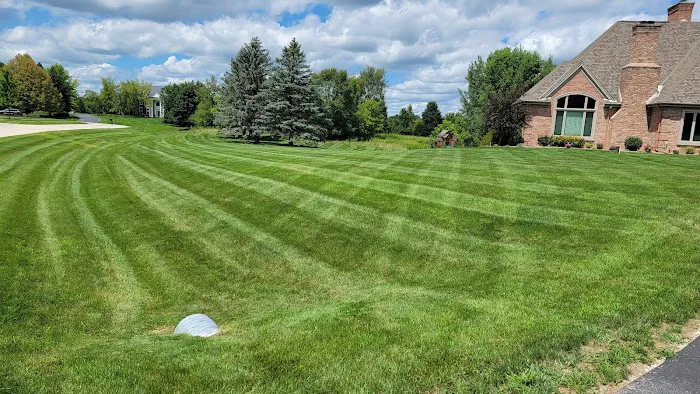 My Yard LLC Picture 6