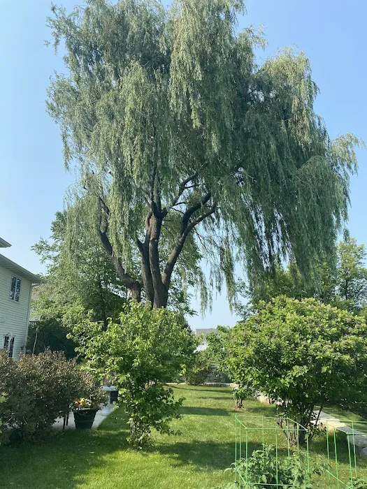 Genesis Tree Service Picture 9
