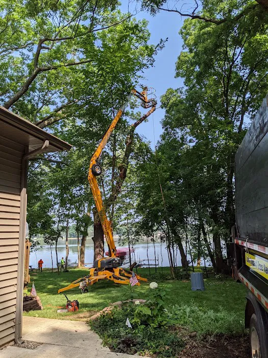 Genesis Tree Service Picture 10