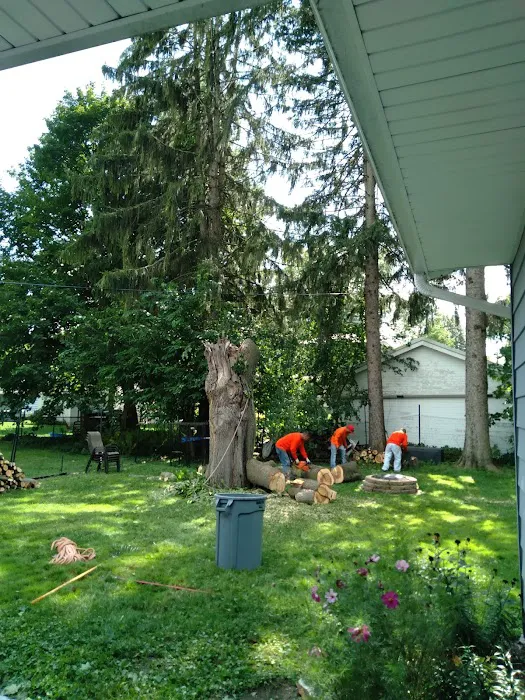 Genesis Tree Service Picture 2
