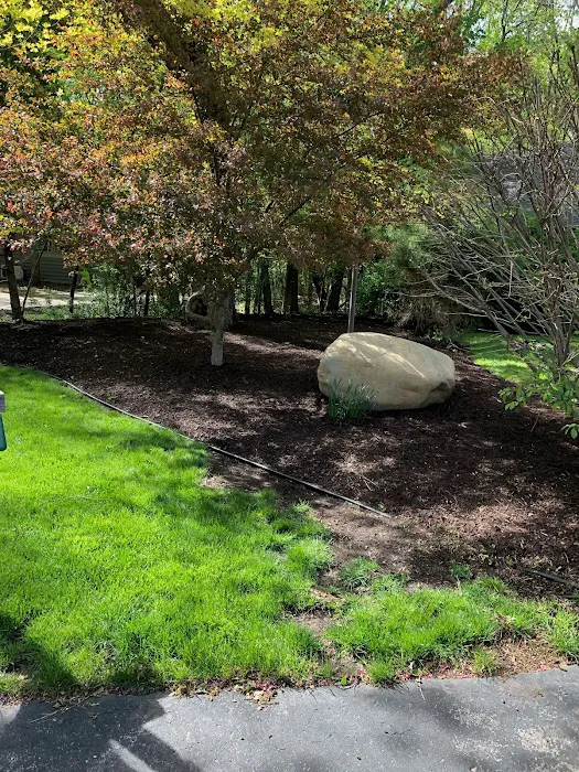EZ LAWN CARE Picture 4