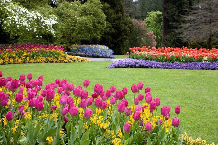 Nate's Landscaping Picture 5