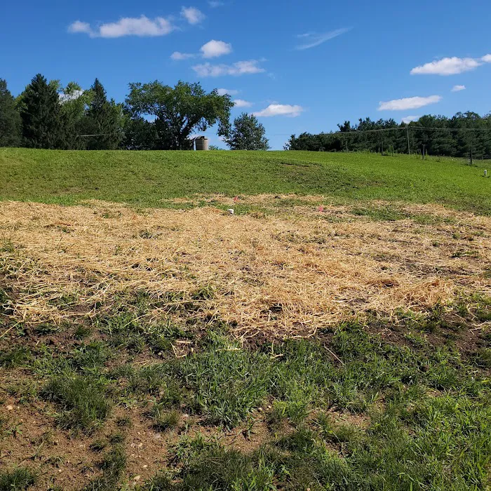 Whitewater Landscape LLC Picture 10
