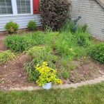 Whitewater Landscape LLC