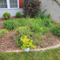 Whitewater Landscape LLC ico