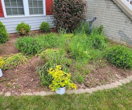 Whitewater Landscape LLC