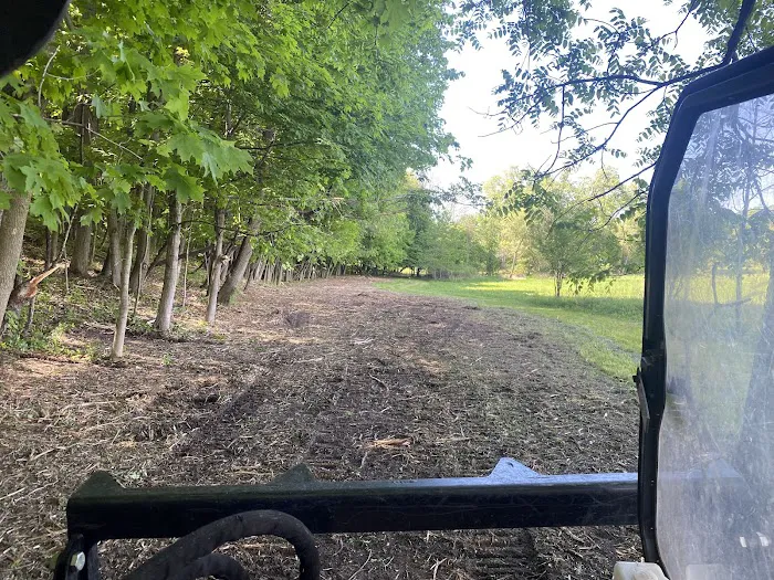 Natures Call Land Clearing, Tree Removal, Stump Grinding, Grading, and Excavation Picture 4