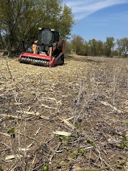 Natures Call Land Clearing, Tree Removal, Stump Grinding, Grading, and Excavation Picture 3