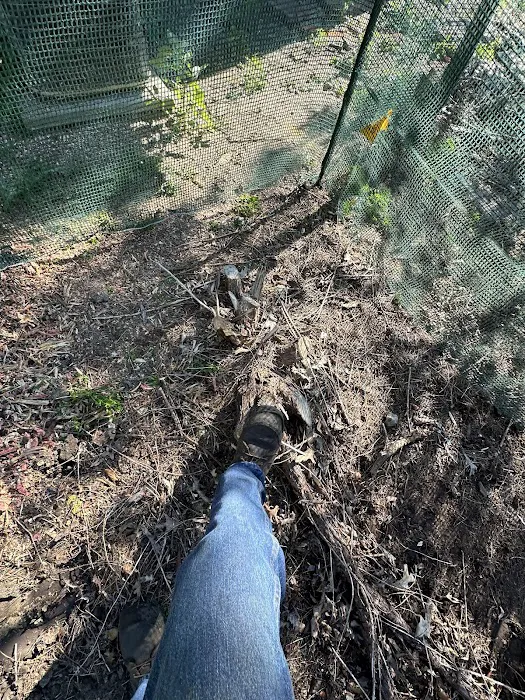 Natures Call Land Clearing, Tree Removal, Stump Grinding, Grading, and Excavation Picture 7