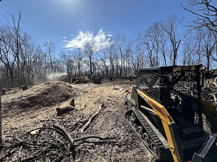 Natures Call Land Clearing, Tree Removal, Stump Grinding, Grading, and Excavation Picture 5