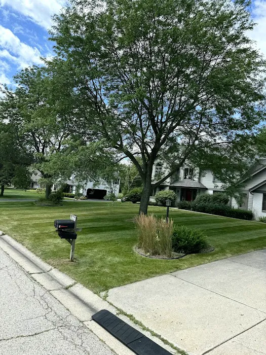 Curb Appeal Design & Landscape Picture 4