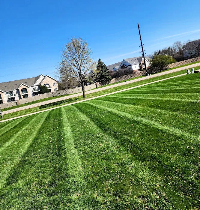 Curb Appeal Design & Landscape Picture 5