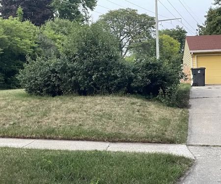 Henry Home and Yard