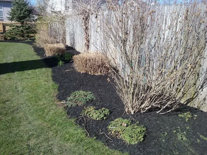 Betos landscaping llc Picture 10
