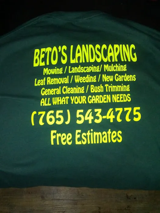 Betos landscaping llc Picture 4