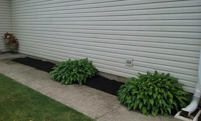 Betos landscaping llc Picture 8