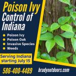 Poison Ivy Control of Indiana