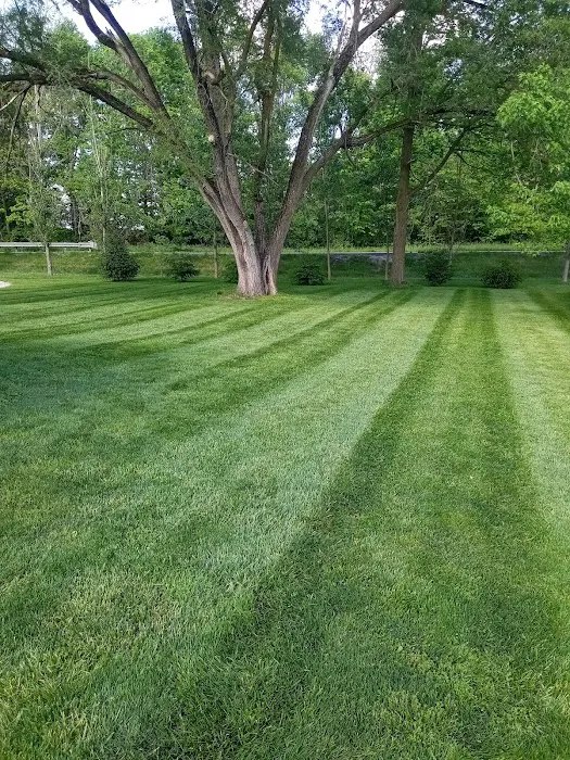 X-treme Lawn & Landscape Picture 6