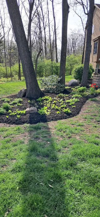 X-treme Lawn & Landscape Picture 1