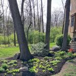 X-treme Lawn & Landscape