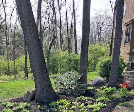 X-treme Lawn & Landscape