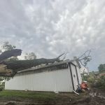 Redwood Landscape Llc