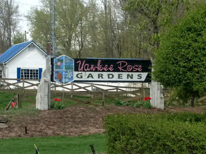 Yankee Rose Gardens Picture 7