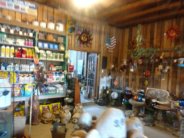 Yankee Rose Gardens Picture 5