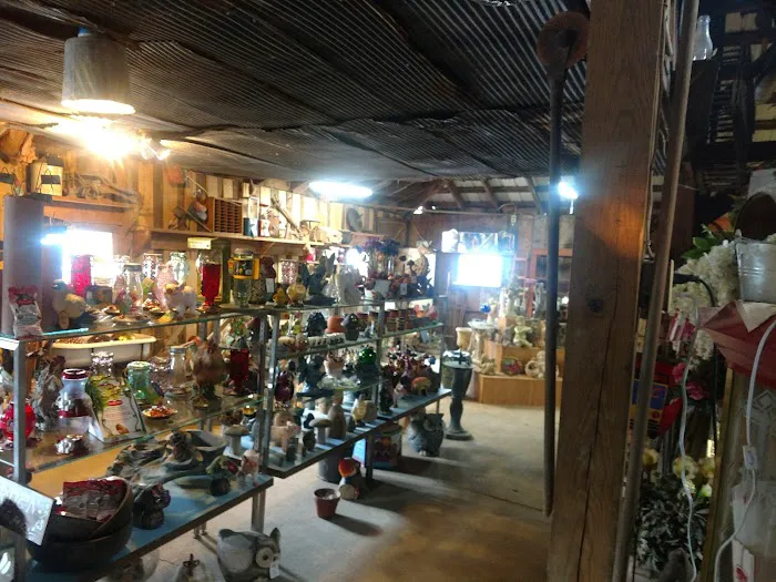Yankee Rose Gardens Picture 1