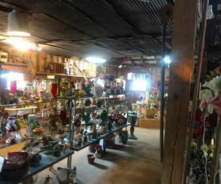Yankee Rose Gardens