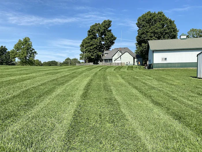MB Landscaping and Lawn Service LLC Picture 1