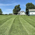 MB Landscaping and Lawn Service LLC