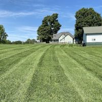 MB Landscaping and Lawn Service LLC ico