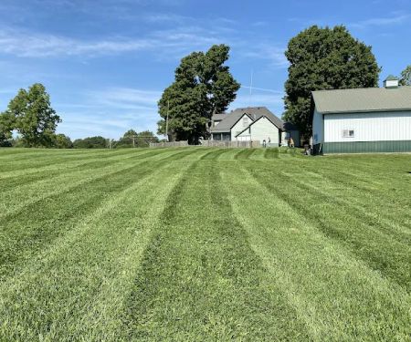 MB Landscaping and Lawn Service LLC