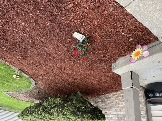 Daniel Whiteside's Landscaping Picture 1