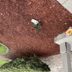 Daniel Whiteside's Landscaping