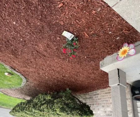 Daniel Whiteside's Landscaping