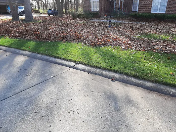 A-1 Lawn Care & Landscape Picture 7
