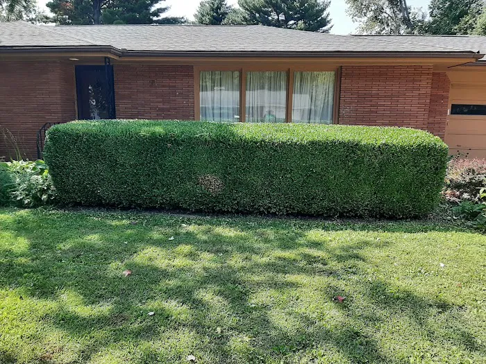 A-1 Lawn Care & Landscape Picture 1