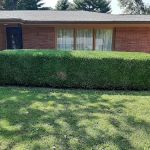 A-1 Lawn Care & Landscape