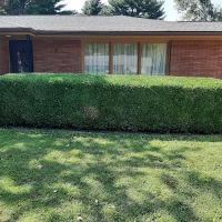A-1 Lawn Care & Landscape ico