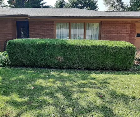 A-1 Lawn Care & Landscape