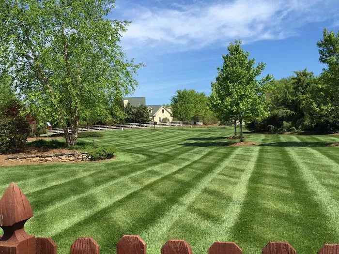 Premier Lawn and Tree Picture 2