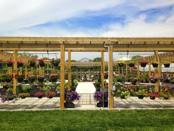 The Tulip Company & More, LLC Picture 9